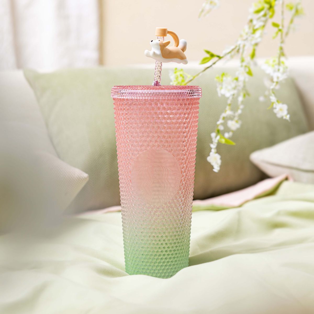 Starbucks | BELLOSHOPHK LIMITED