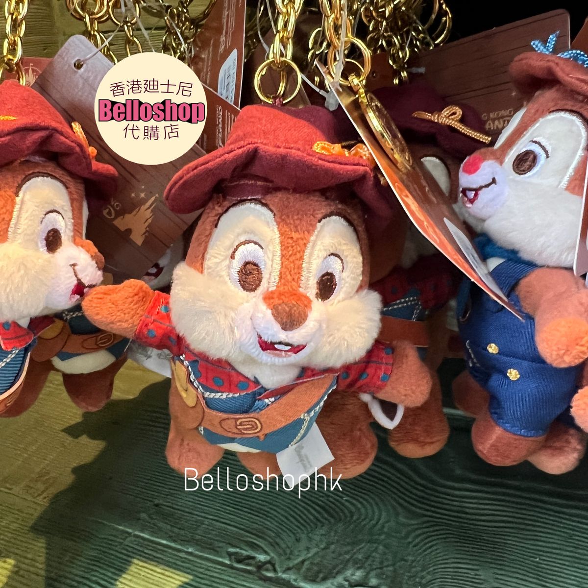 Hong Kong Disneyland | BELLOSHOPHK LIMITED