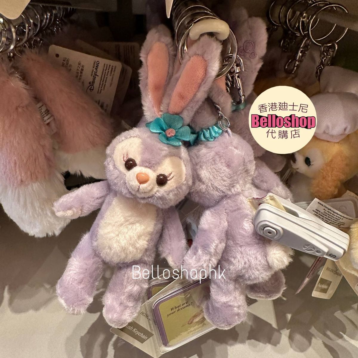 Hong Kong Disneyland | BELLOSHOPHK LIMITED