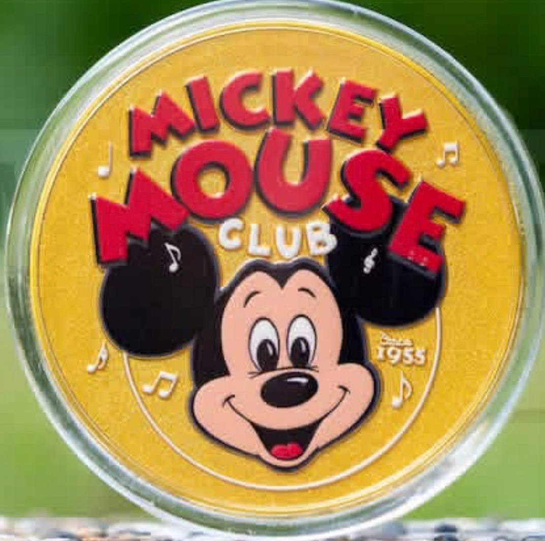 HKDL - Disney Ice Cream Series 2 5-Piece Mystery Pin Pouch Blind
