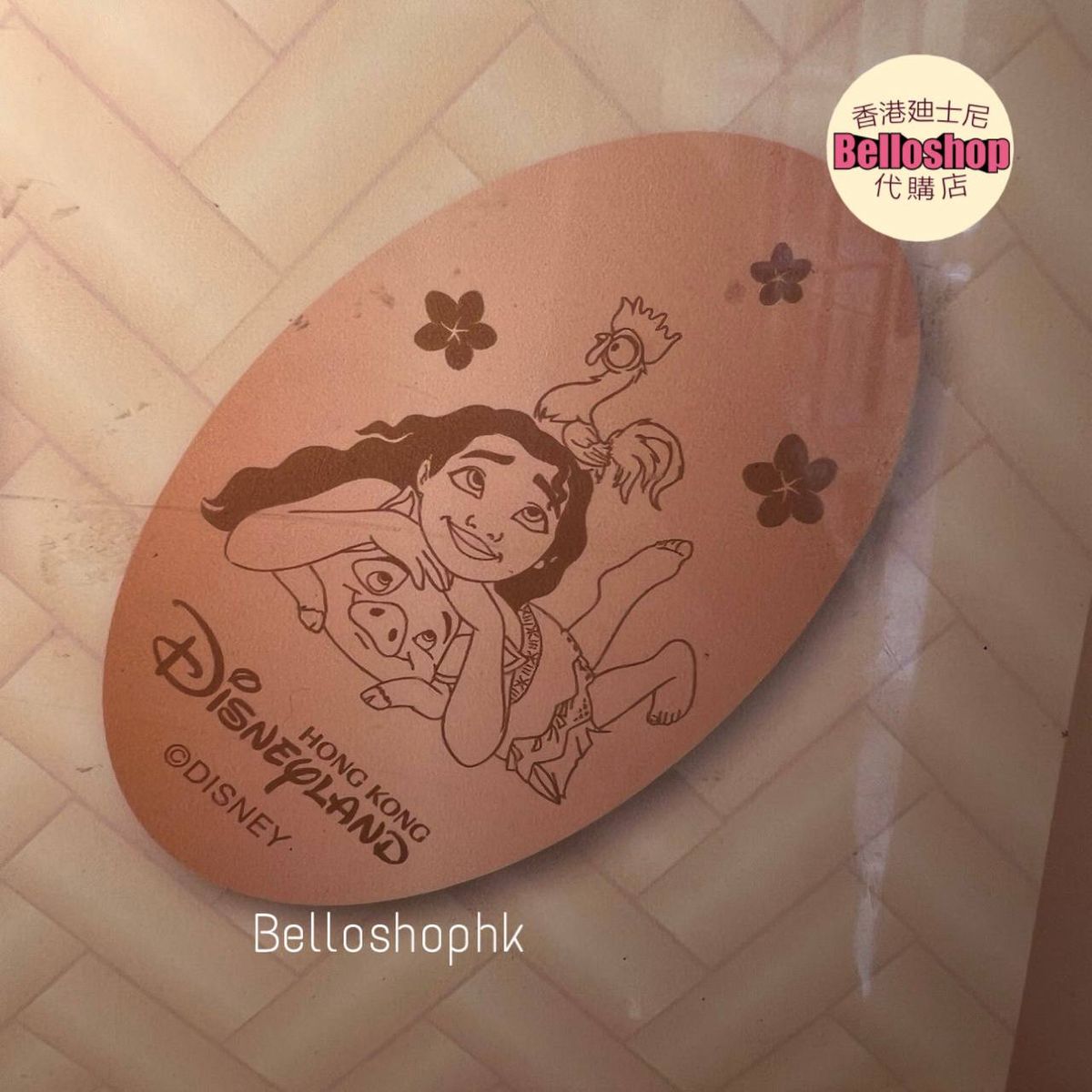 HKDL - Watch 