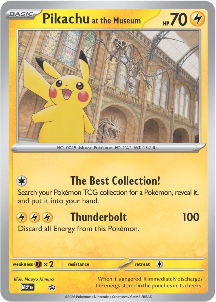 現貨】A12084 - Pokémon x 英國自然歷史博物館Jumbo Card Natural